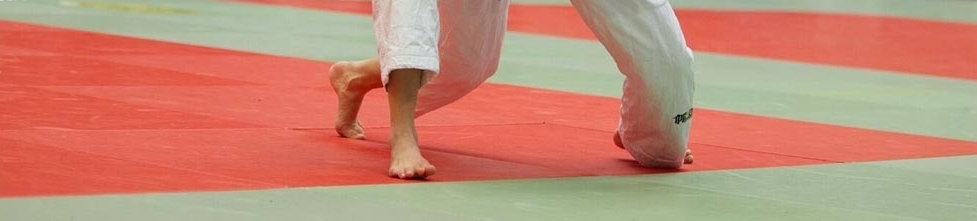 1_Judo 1 gerade.jpg